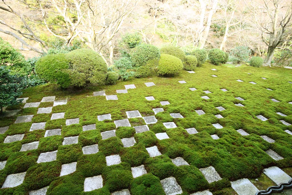 東福寺本坊庭園