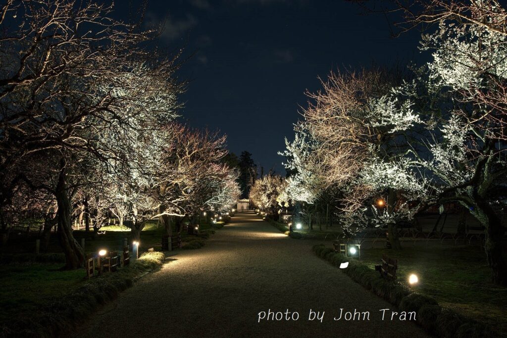 夜の偕楽園