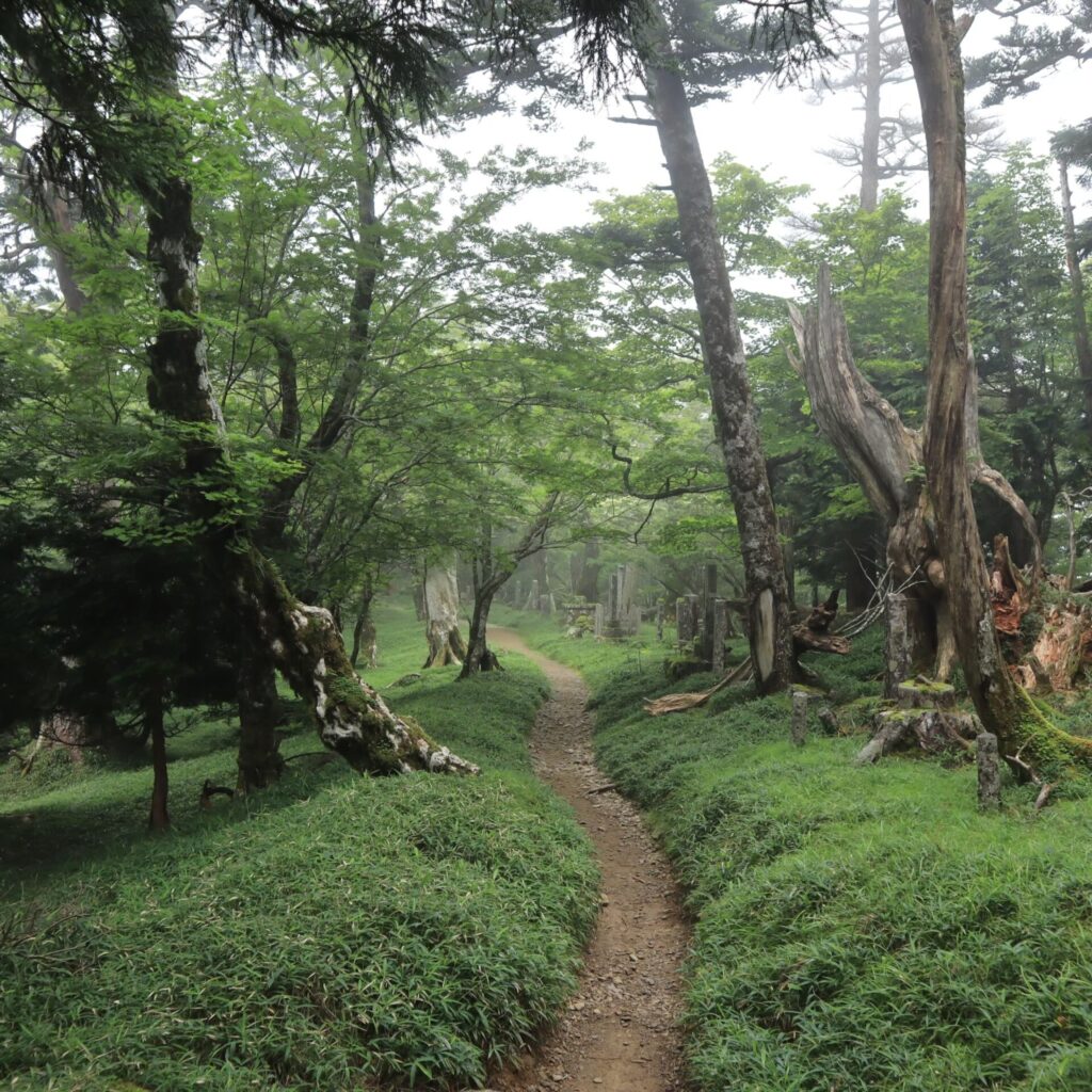 大峯奥駈道