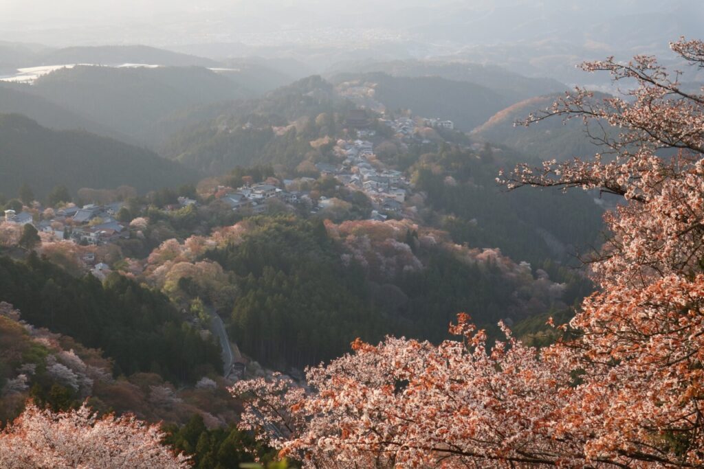 春の吉野山遠景