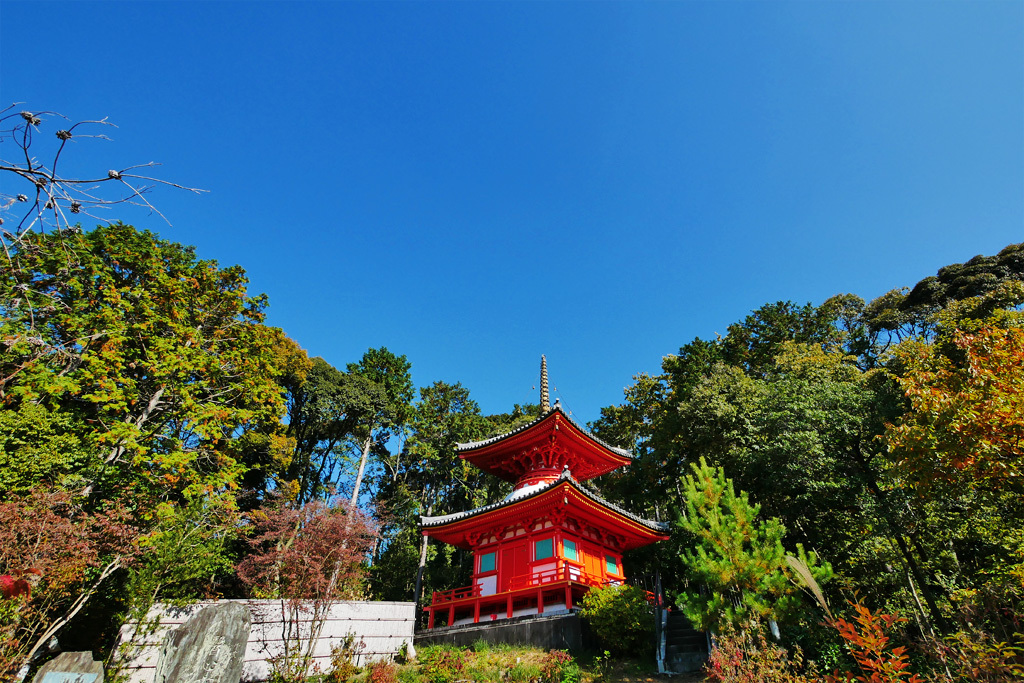 今熊野観音寺_医聖堂