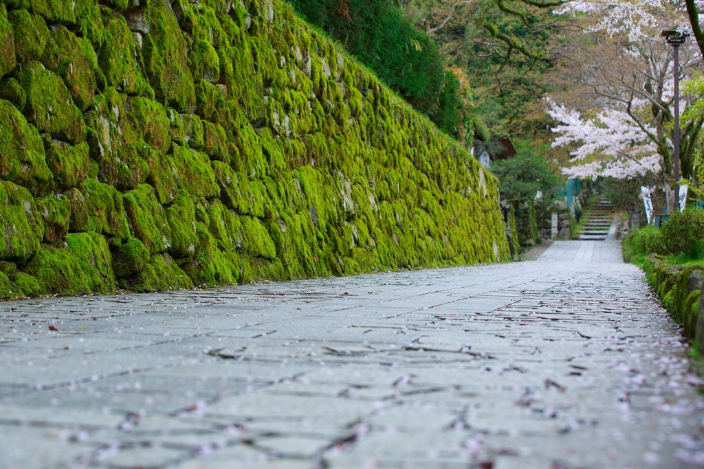 坂本の町並み