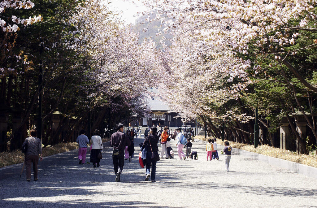 春の北海道神宮