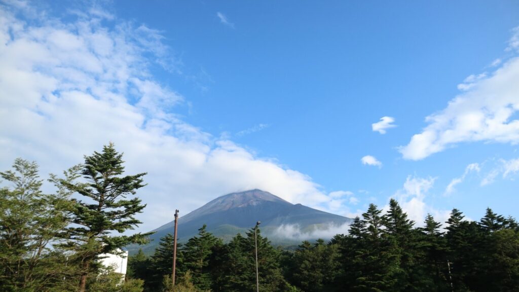 本宮浅間大社から見た夏の富士山