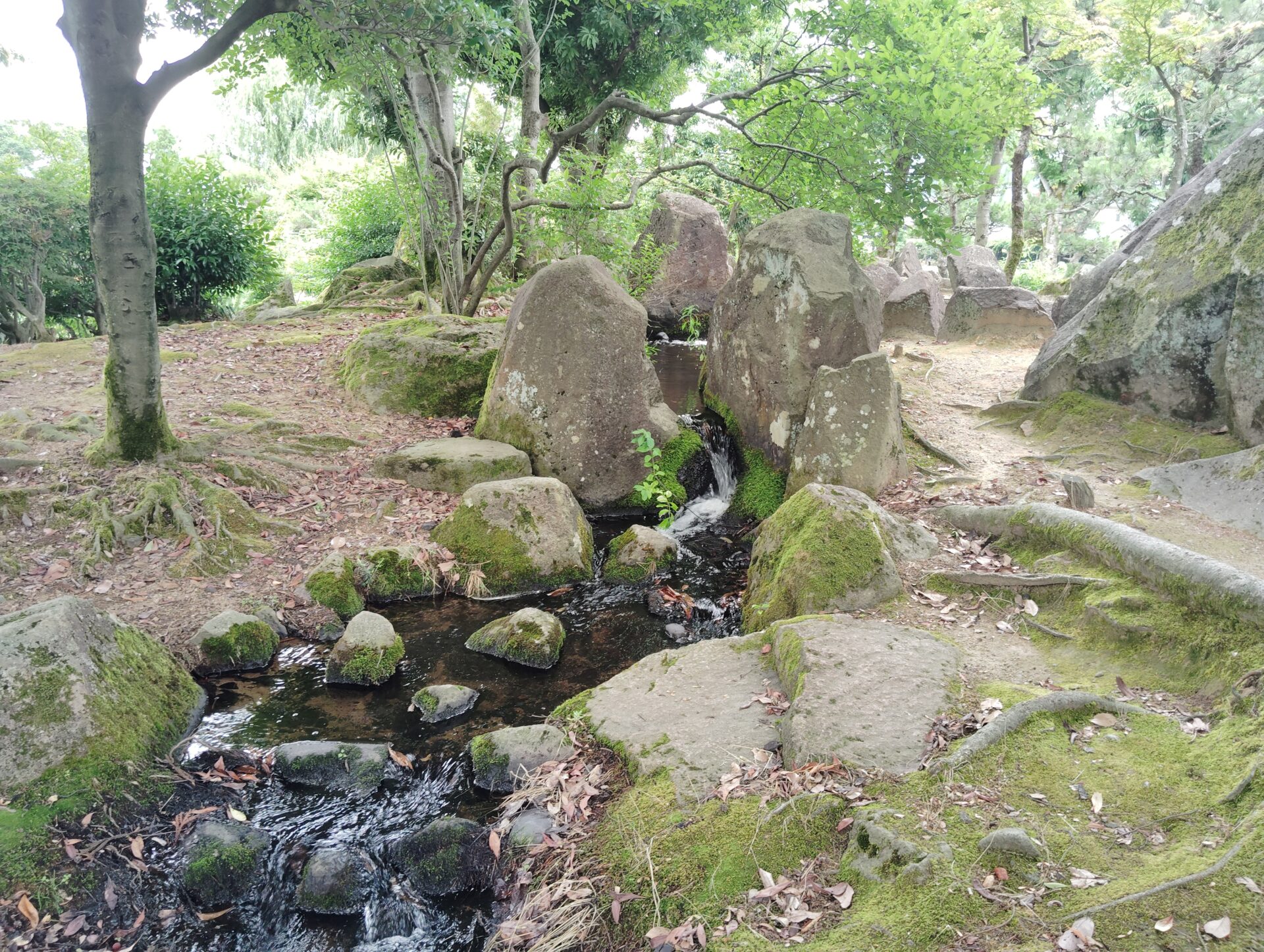 紫式部公園‐遣水