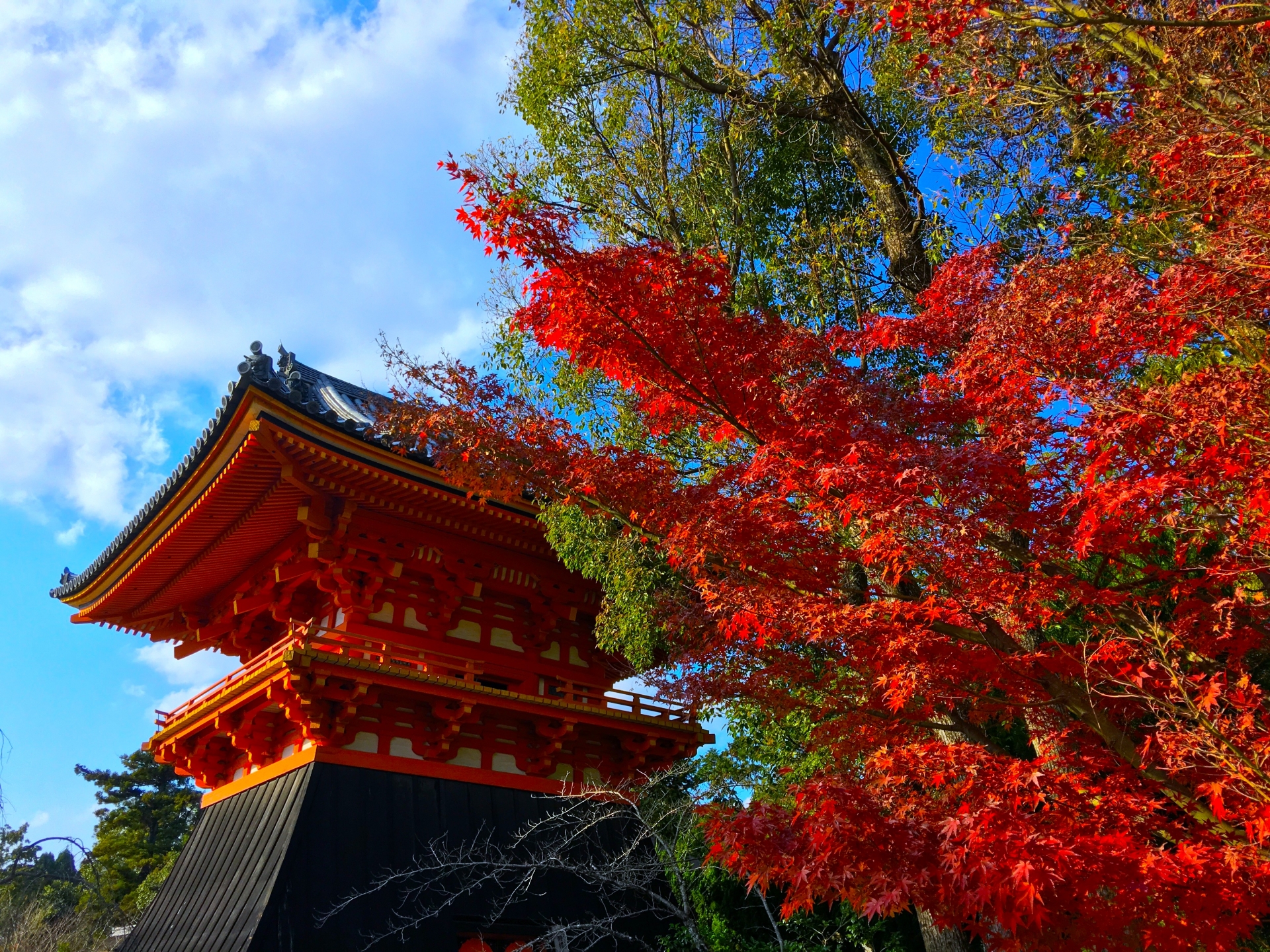 仁和寺鐘楼